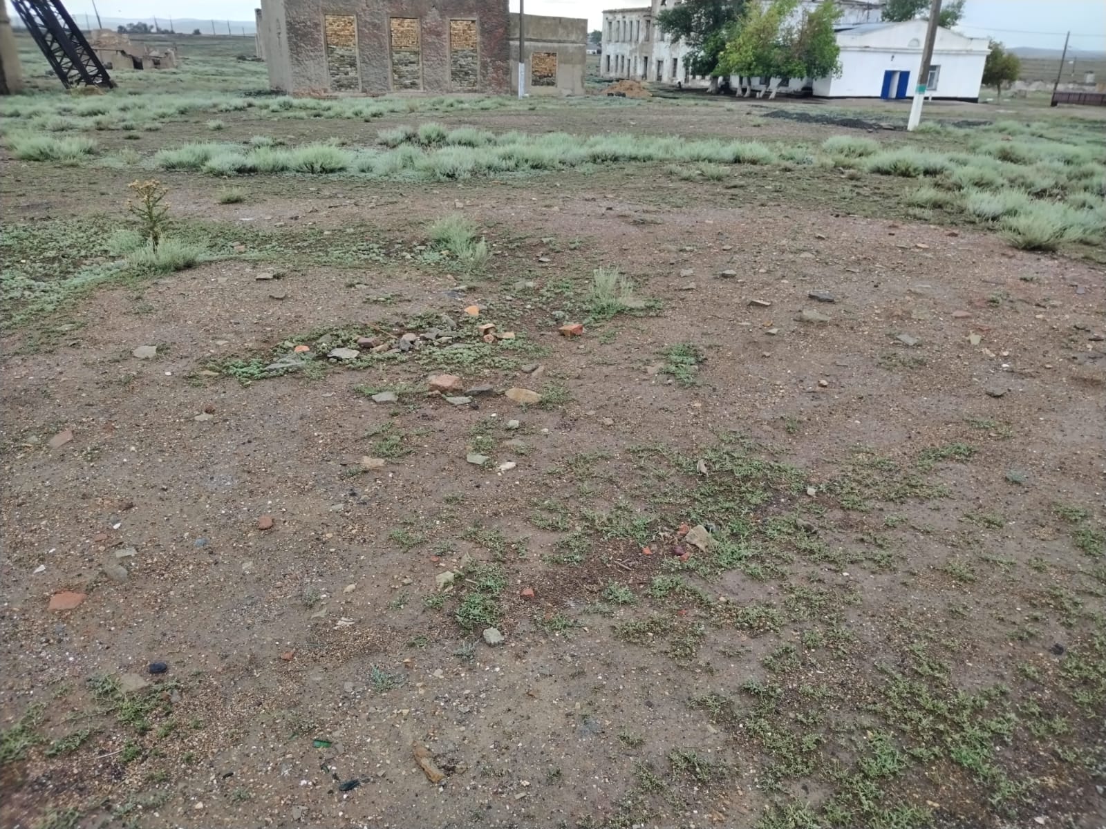 img-4