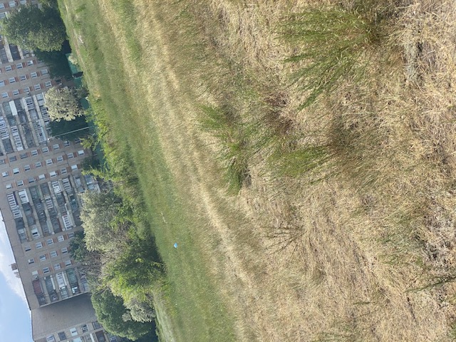 img-3