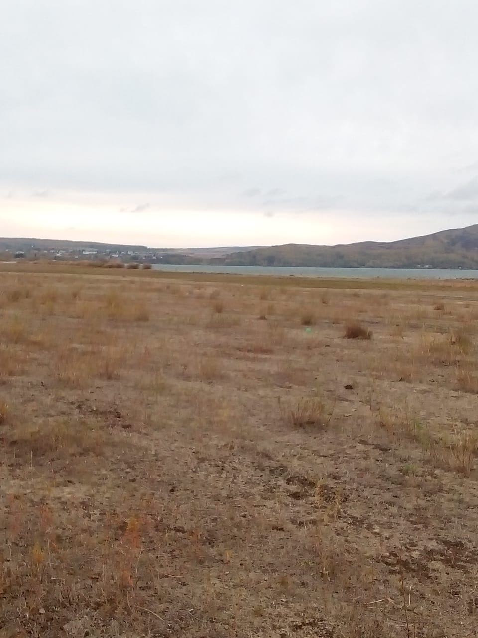 img-0