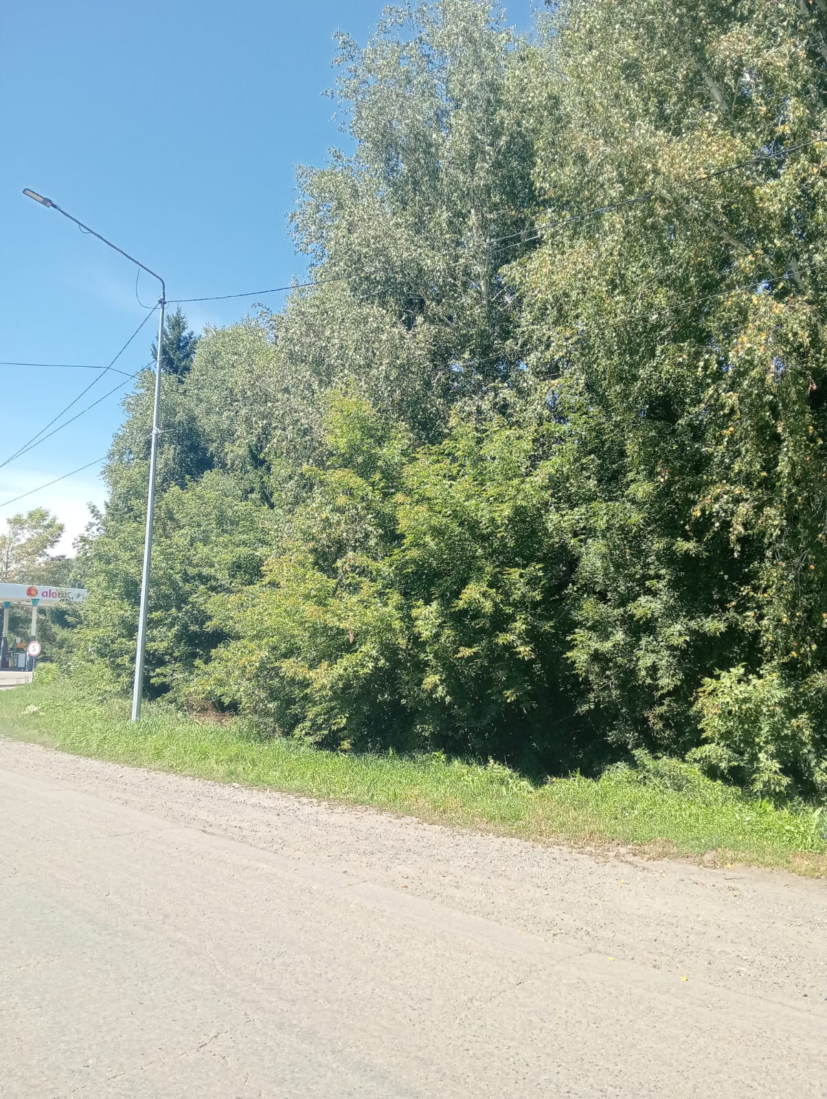 img-1