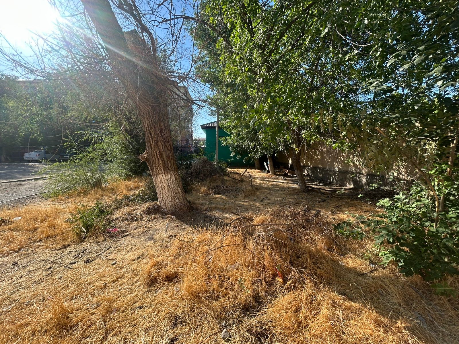 img-1