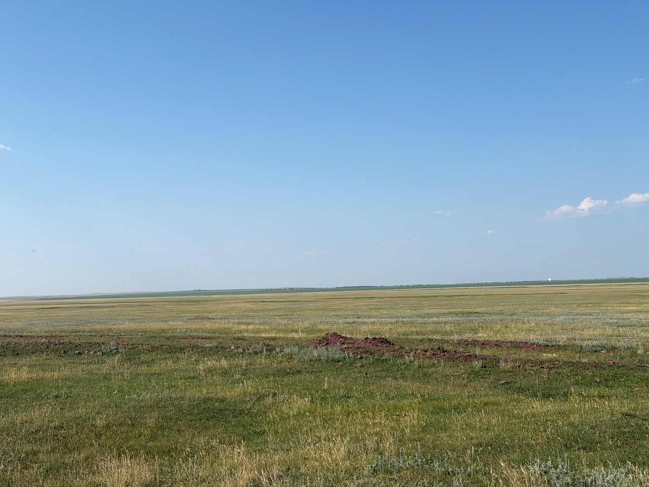 img-2