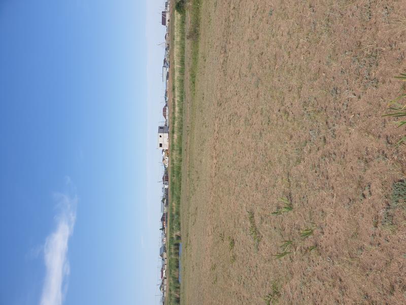img-2