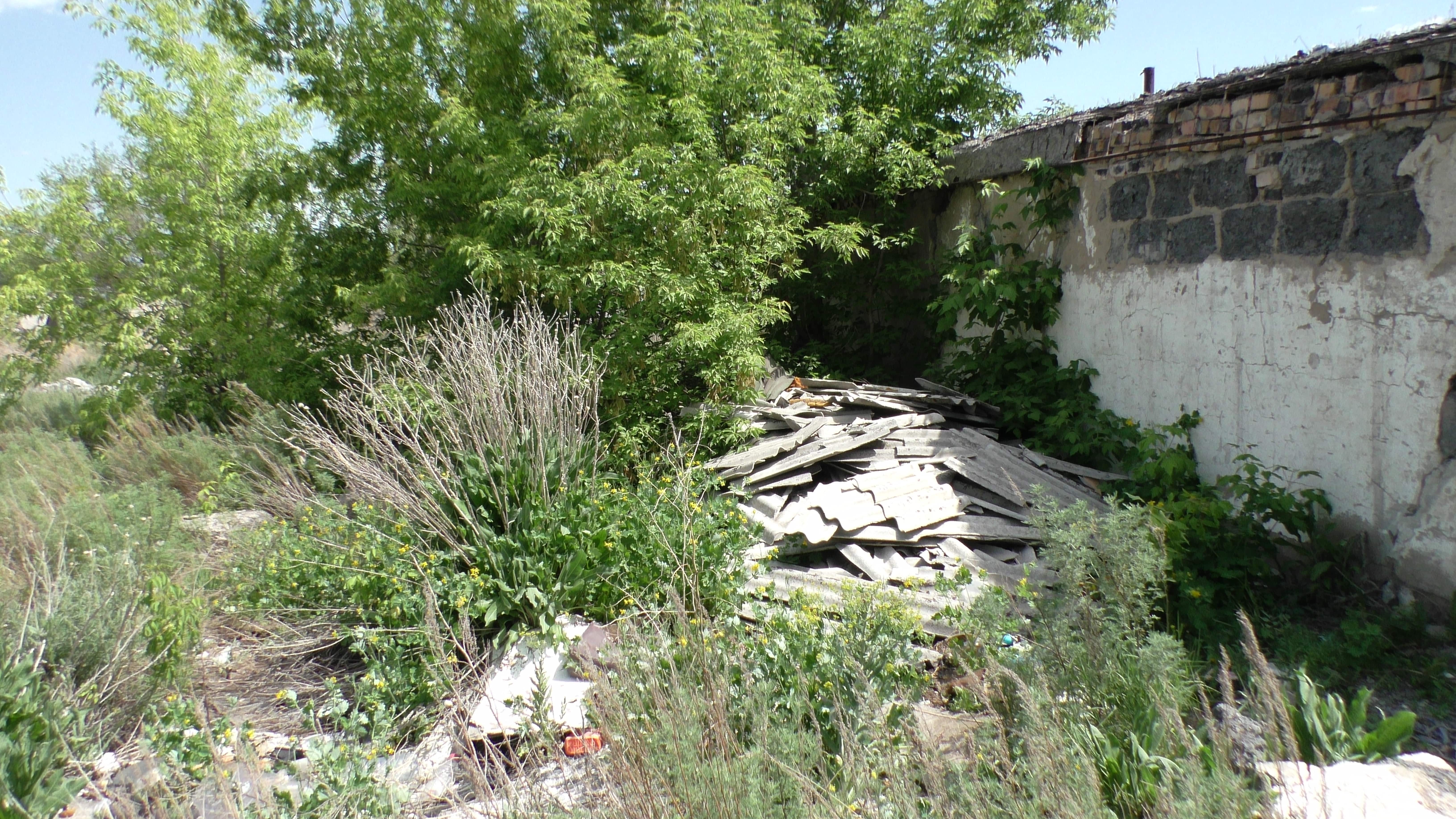 img-2