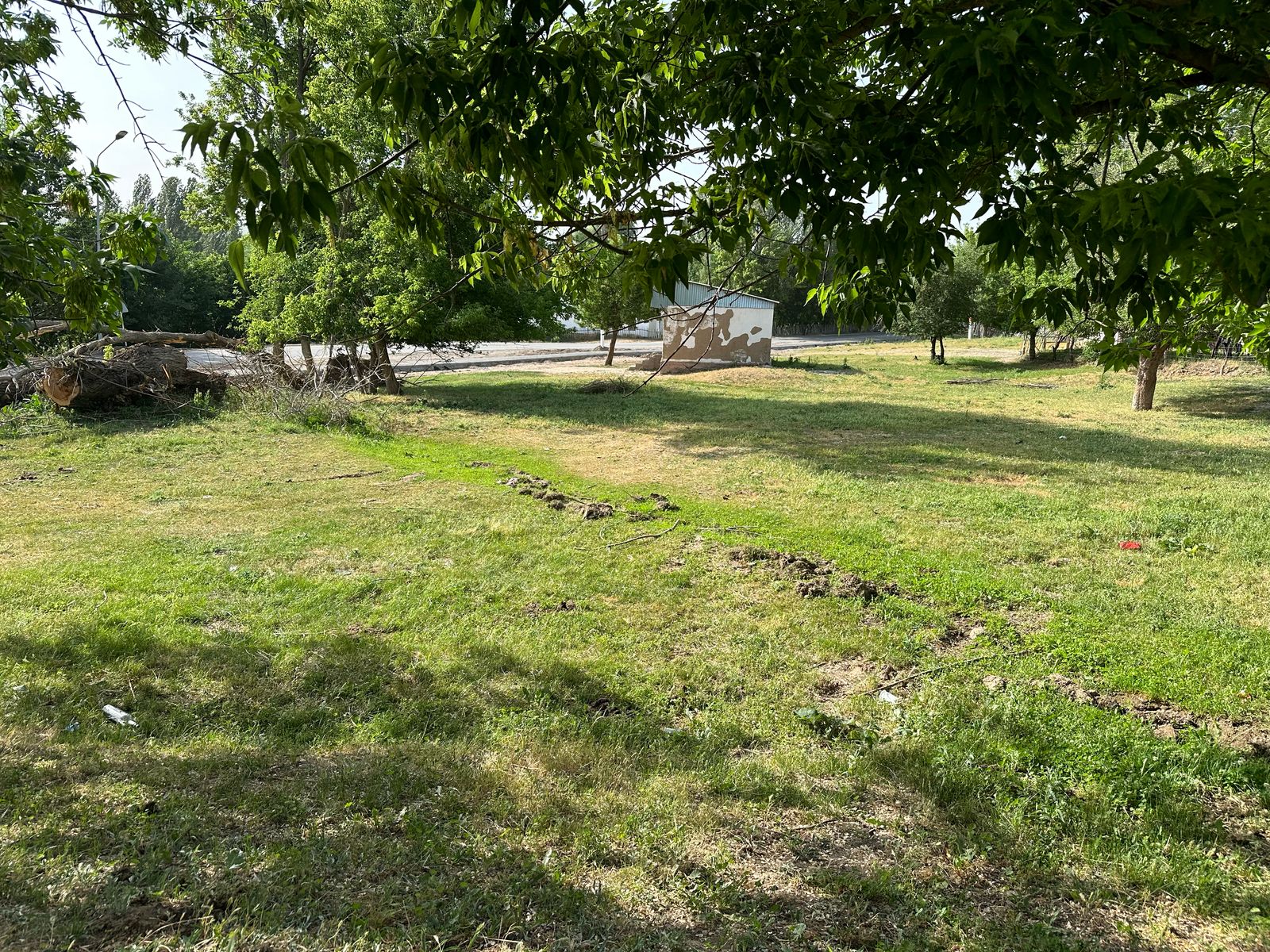 img-5