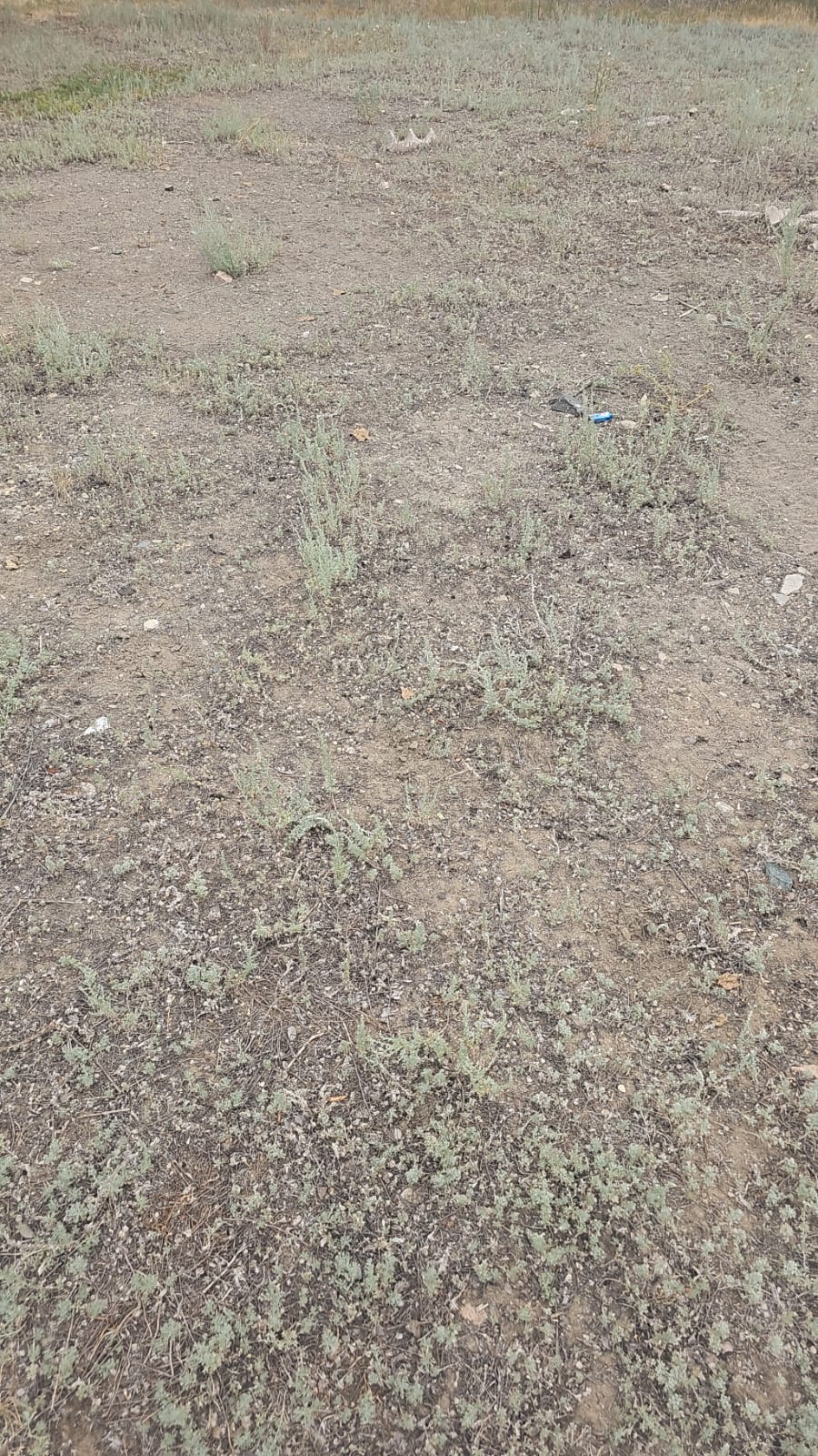 img-4