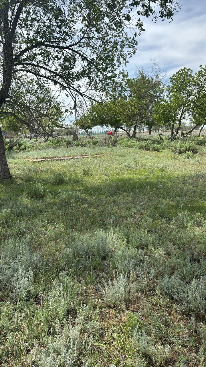 img-3