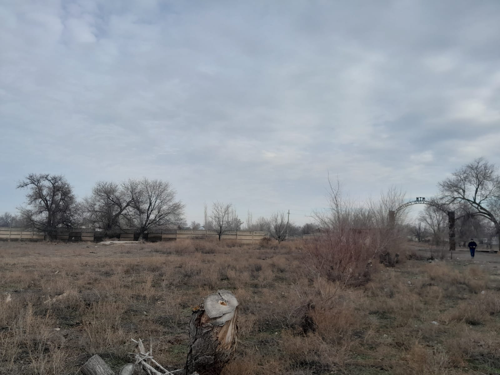 img-3
