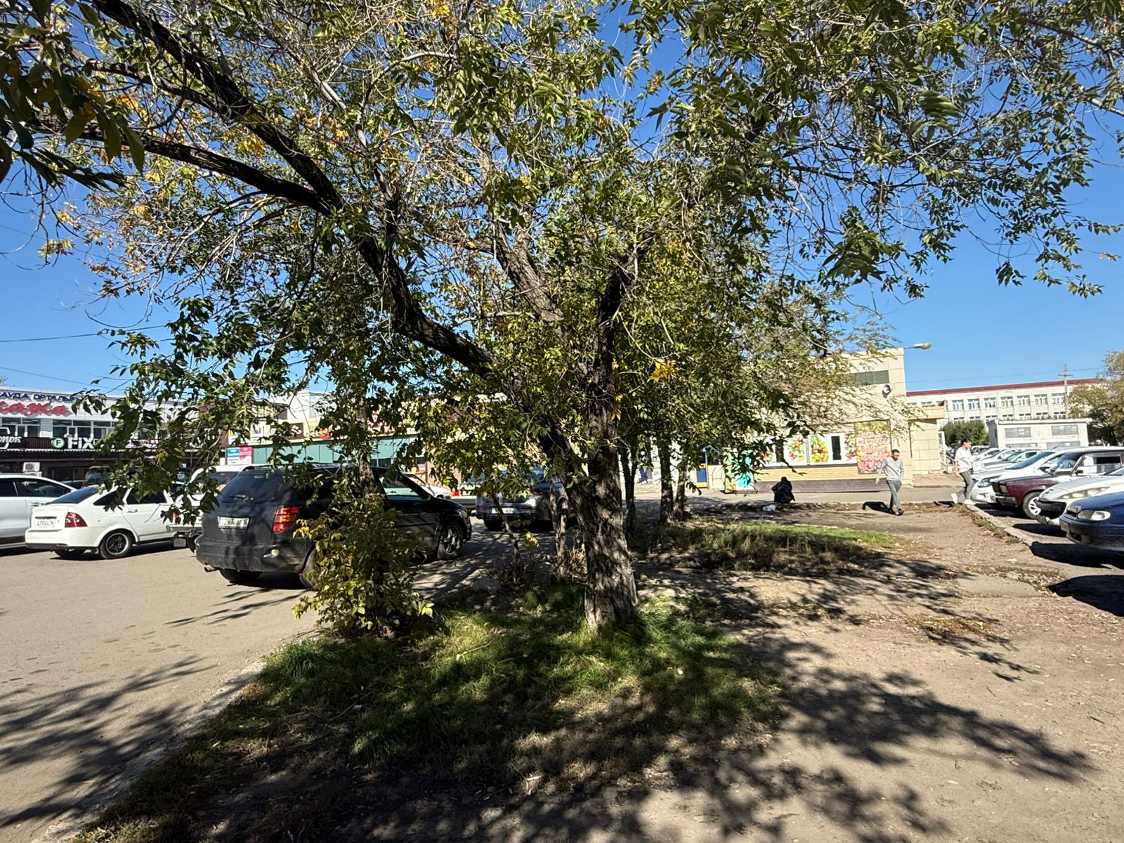 img-5