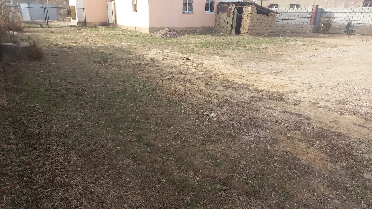 img-2