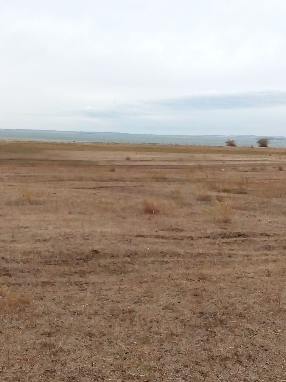 img-4