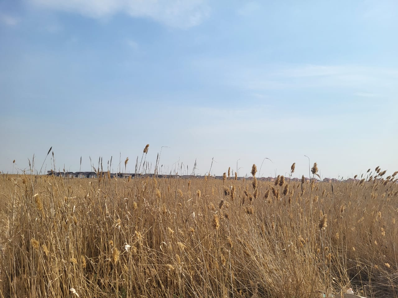 img-7