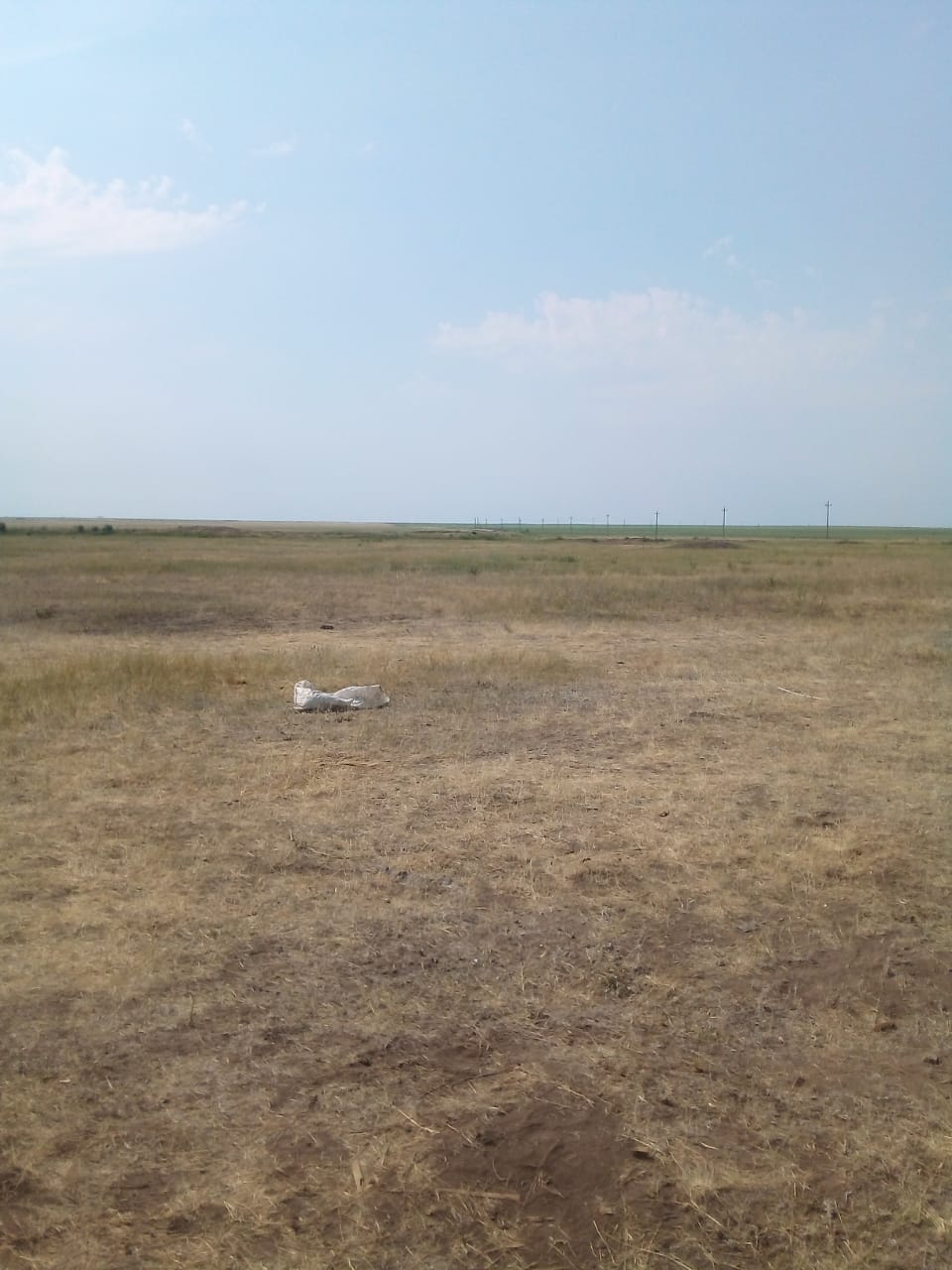 img-4