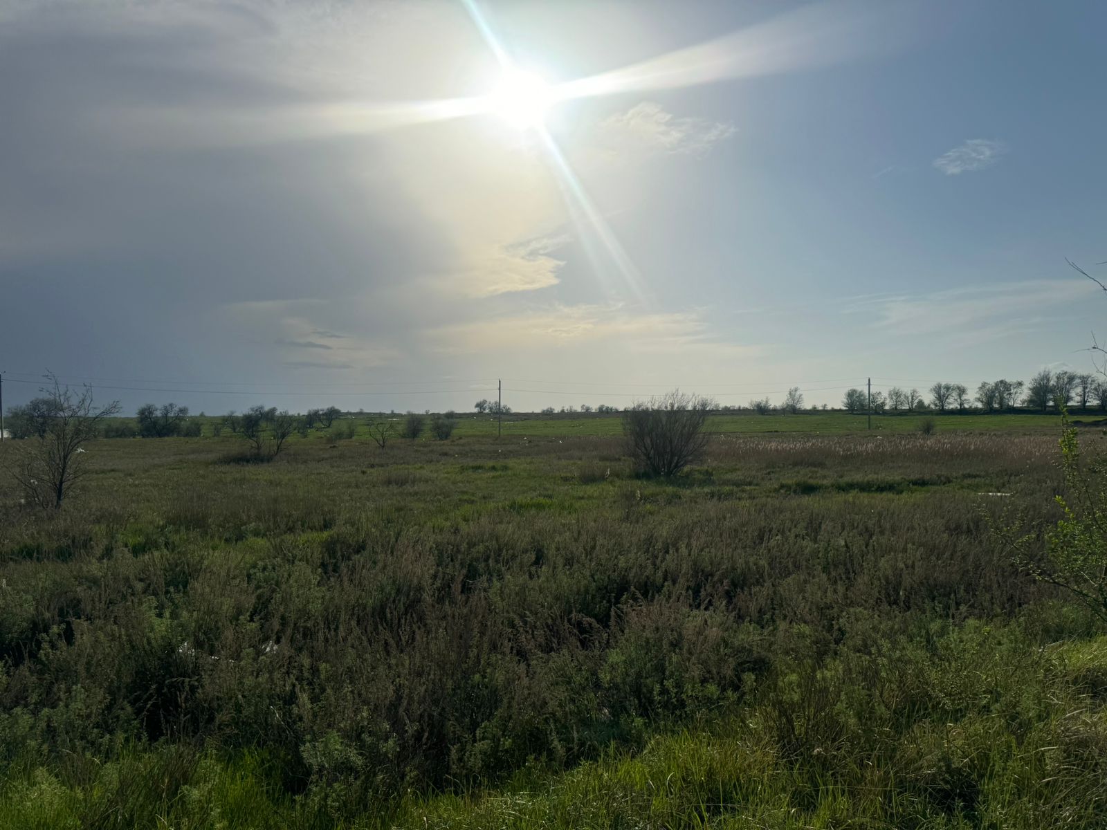 img-5
