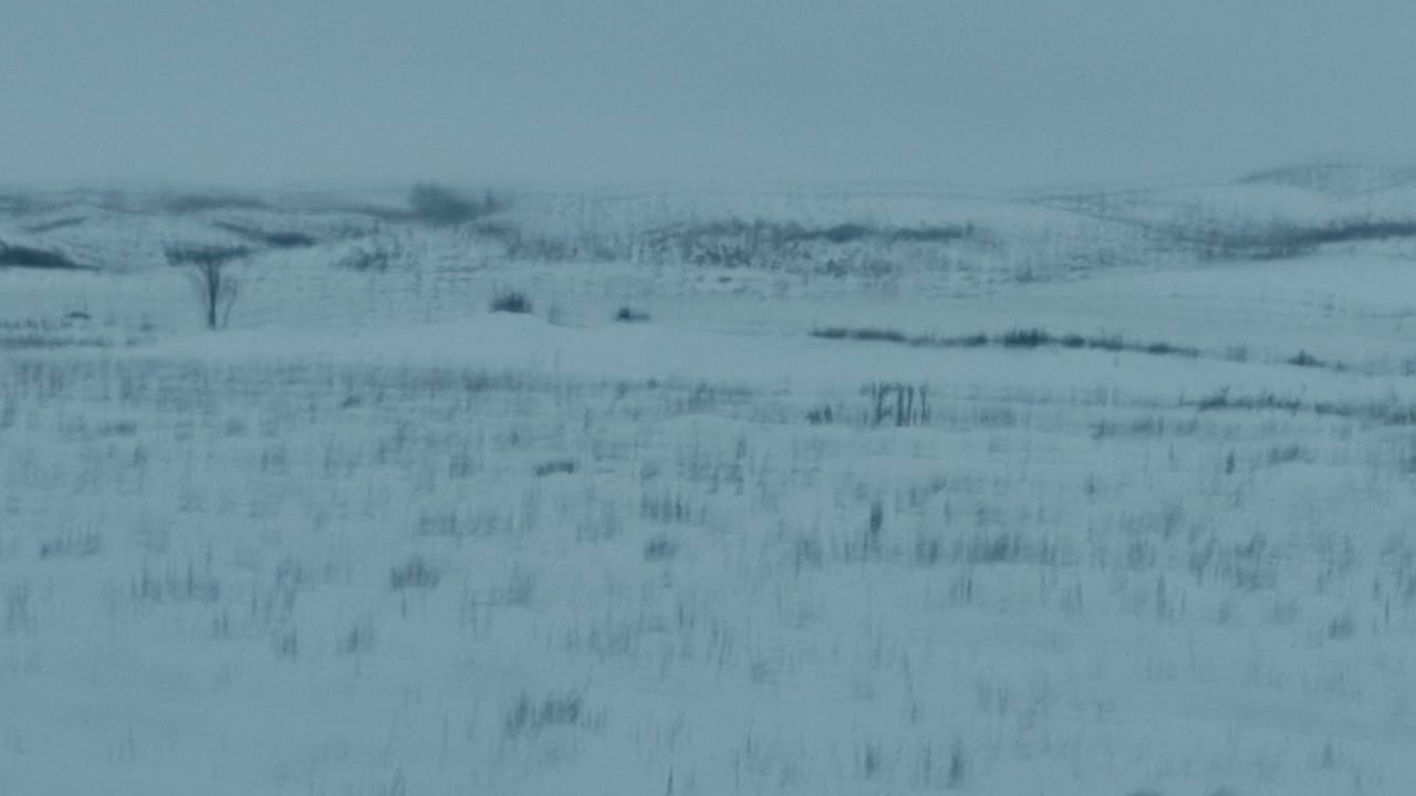img-2