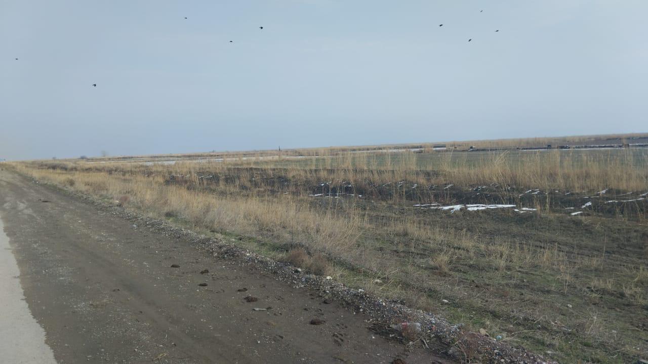 img-1