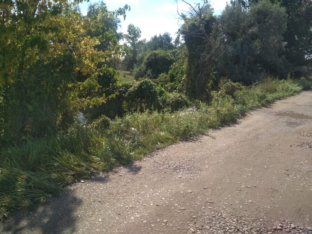 img-3