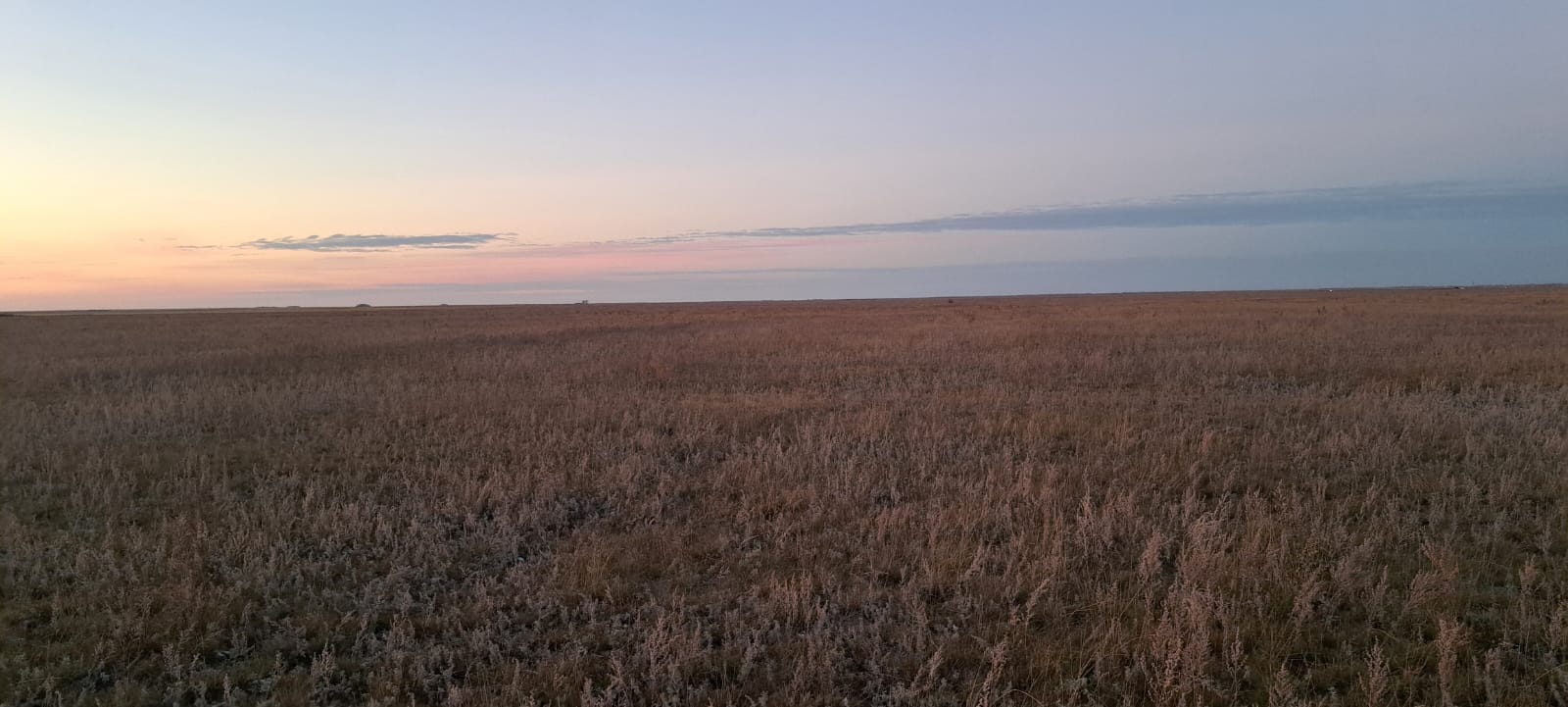img-3
