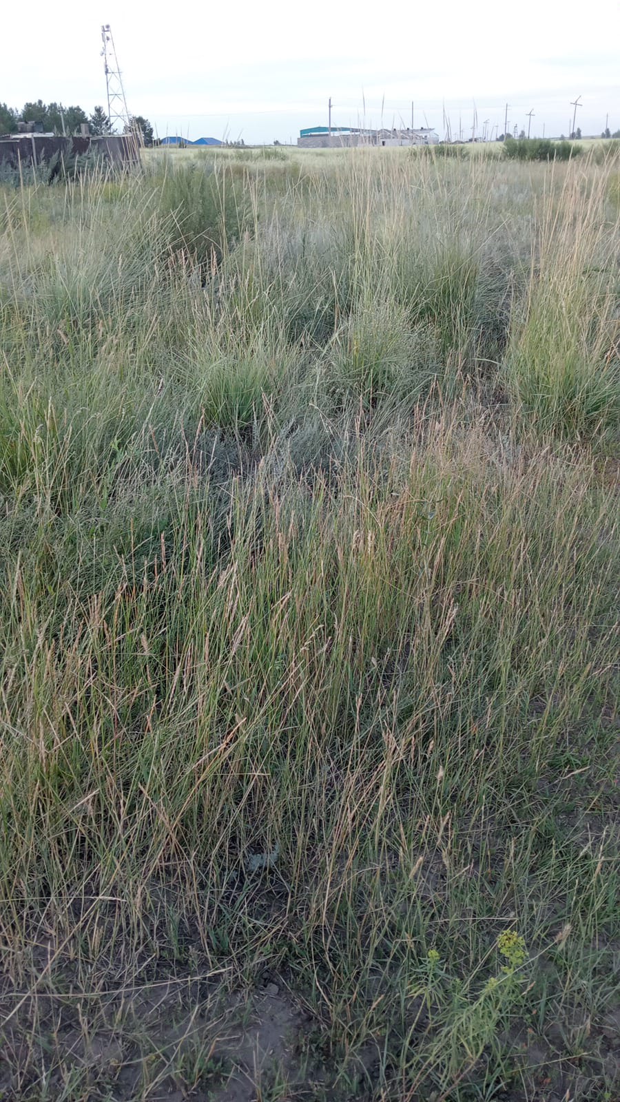 img-2