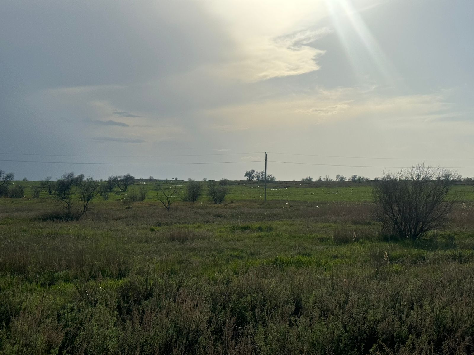 img-2