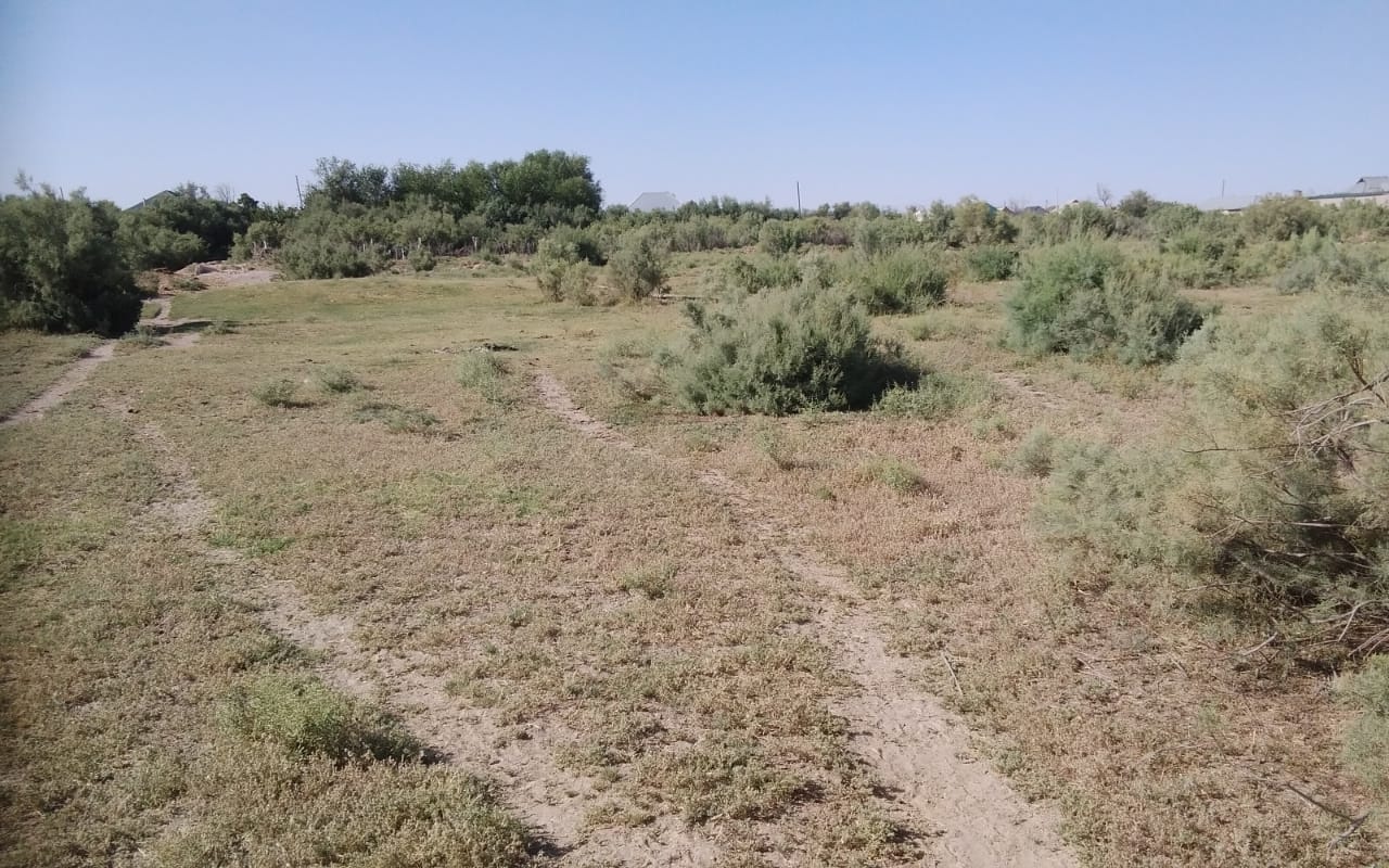 img-2