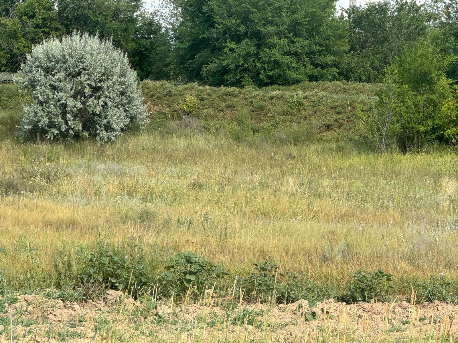 img-3