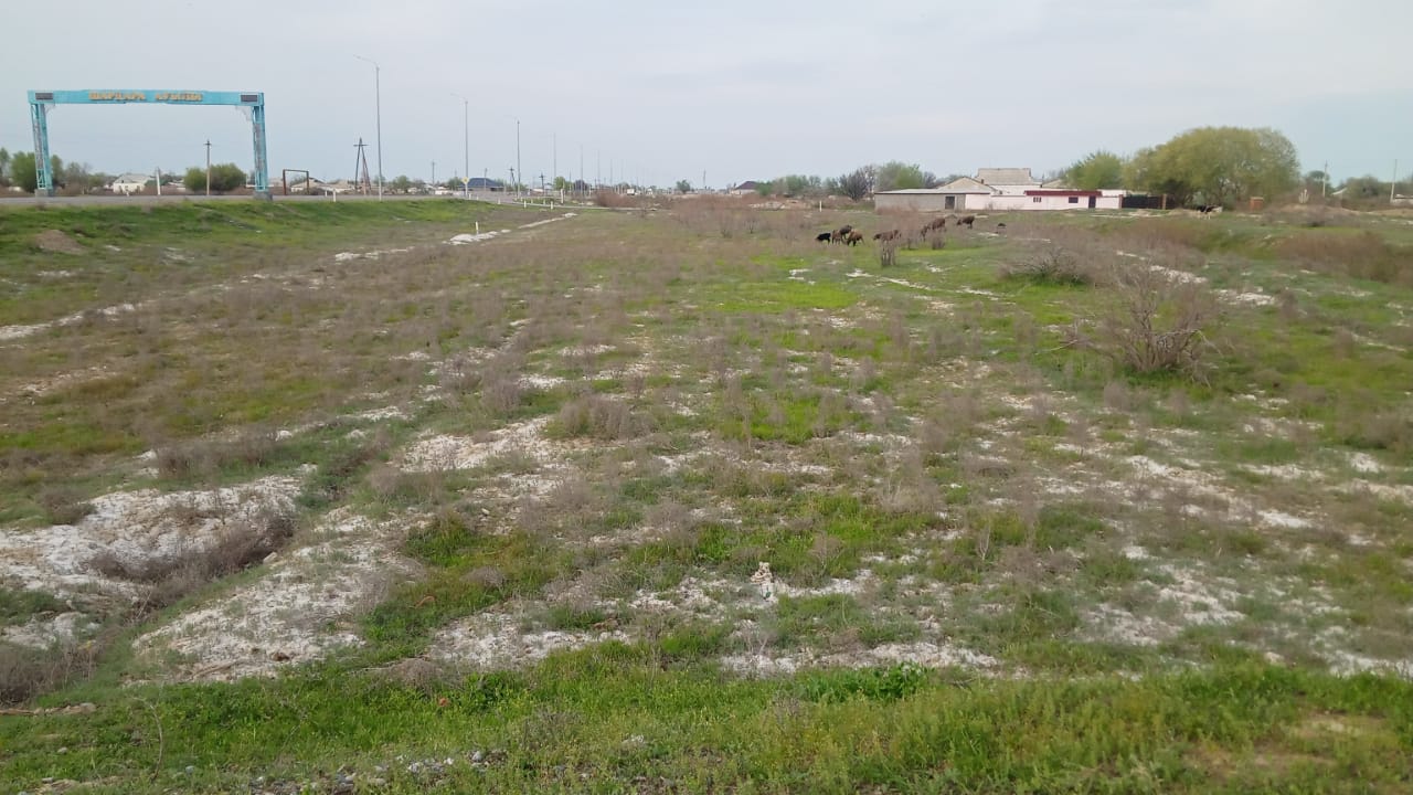 img-3