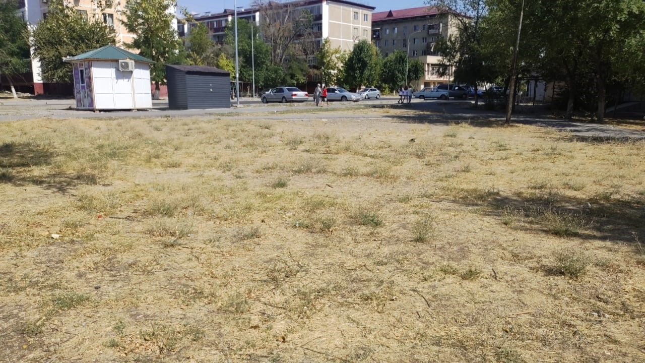 img-3