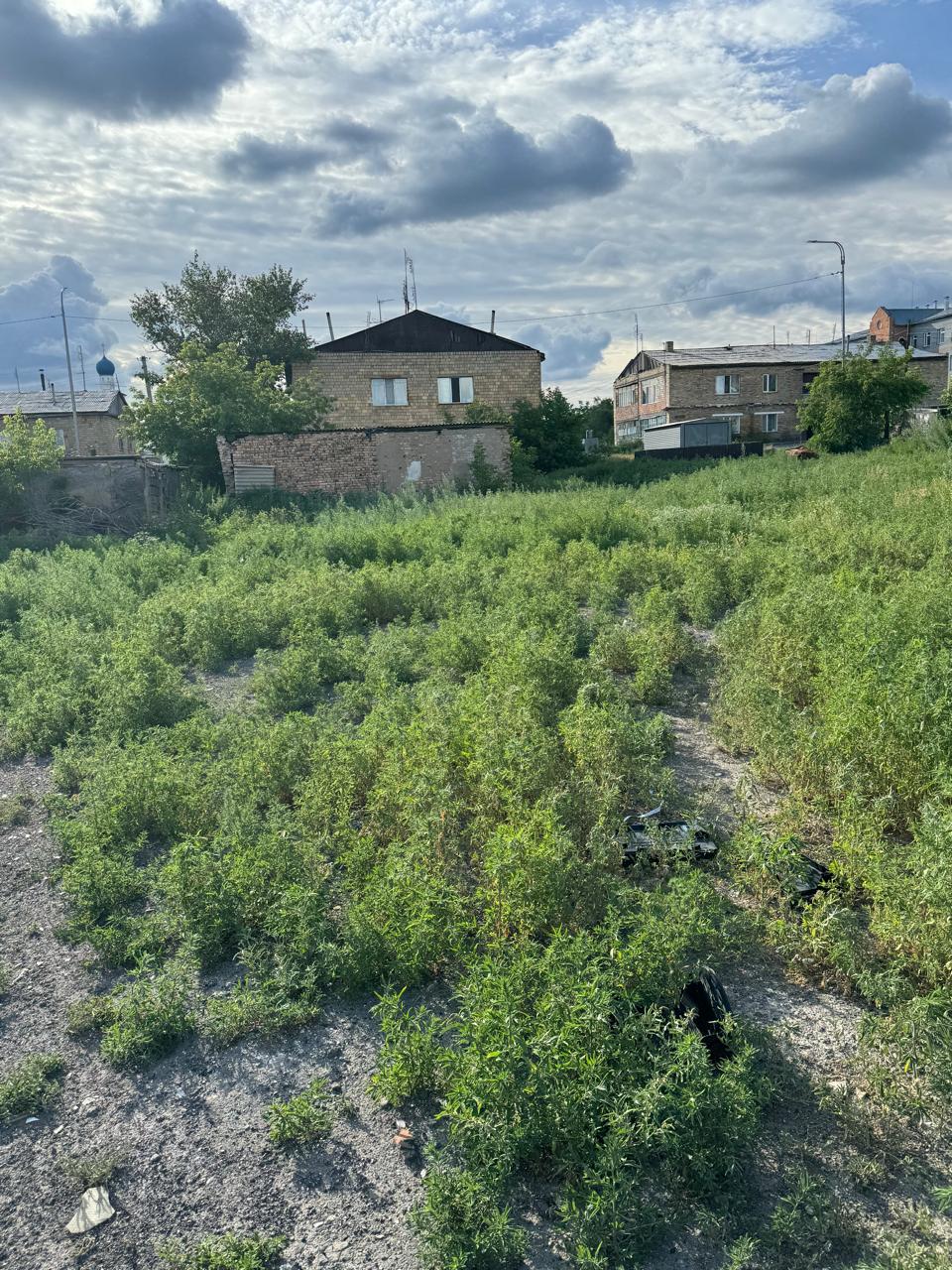 img-3