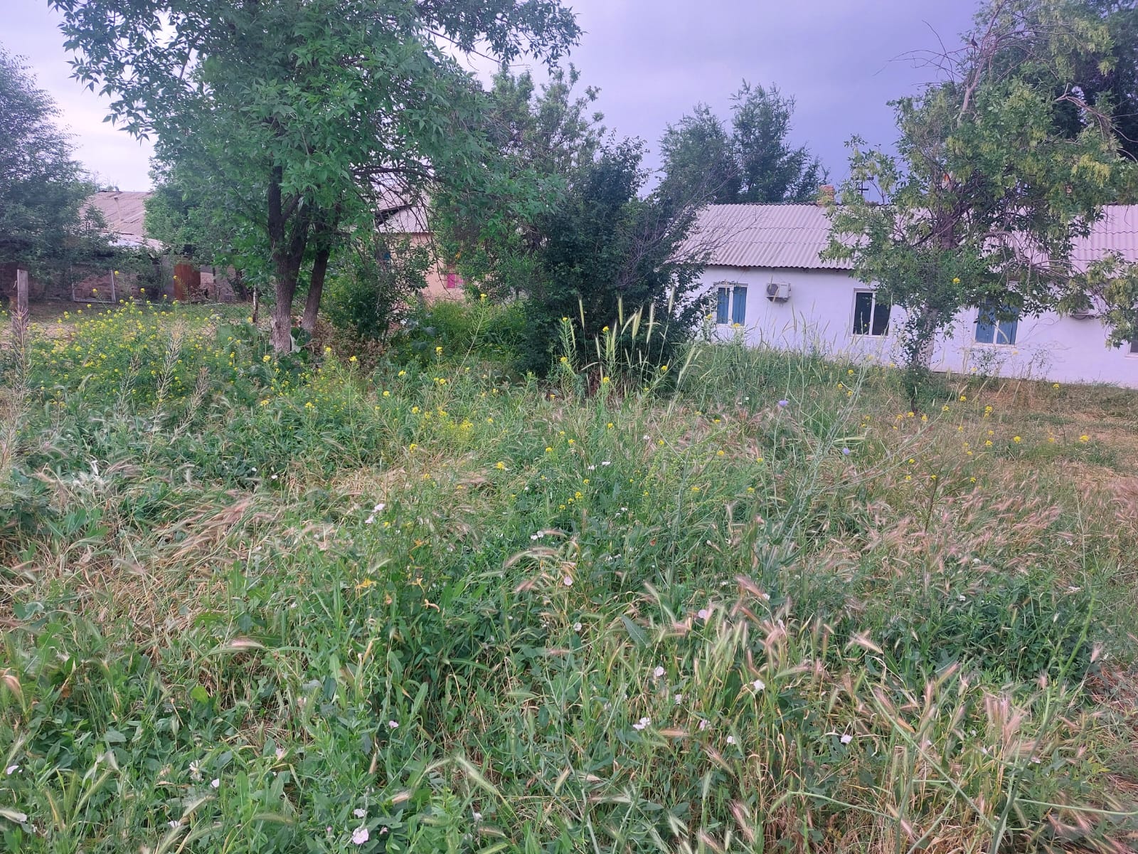 img-1