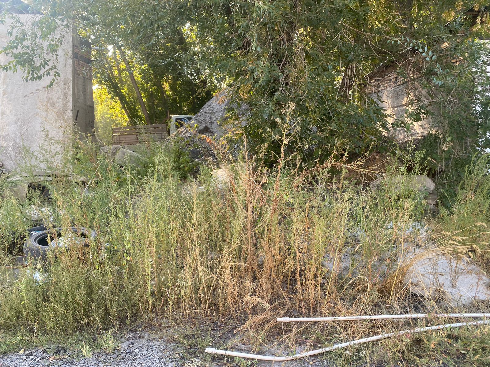 img-0