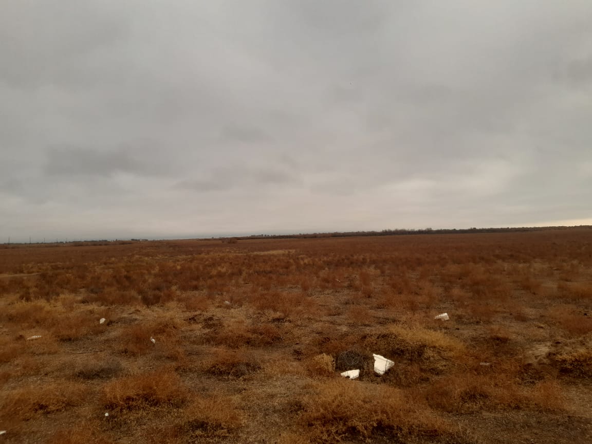 img-2