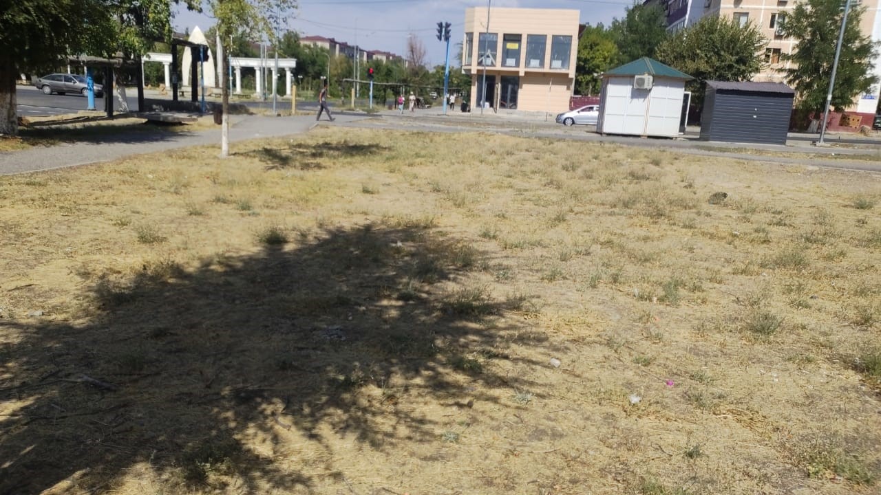 img-4