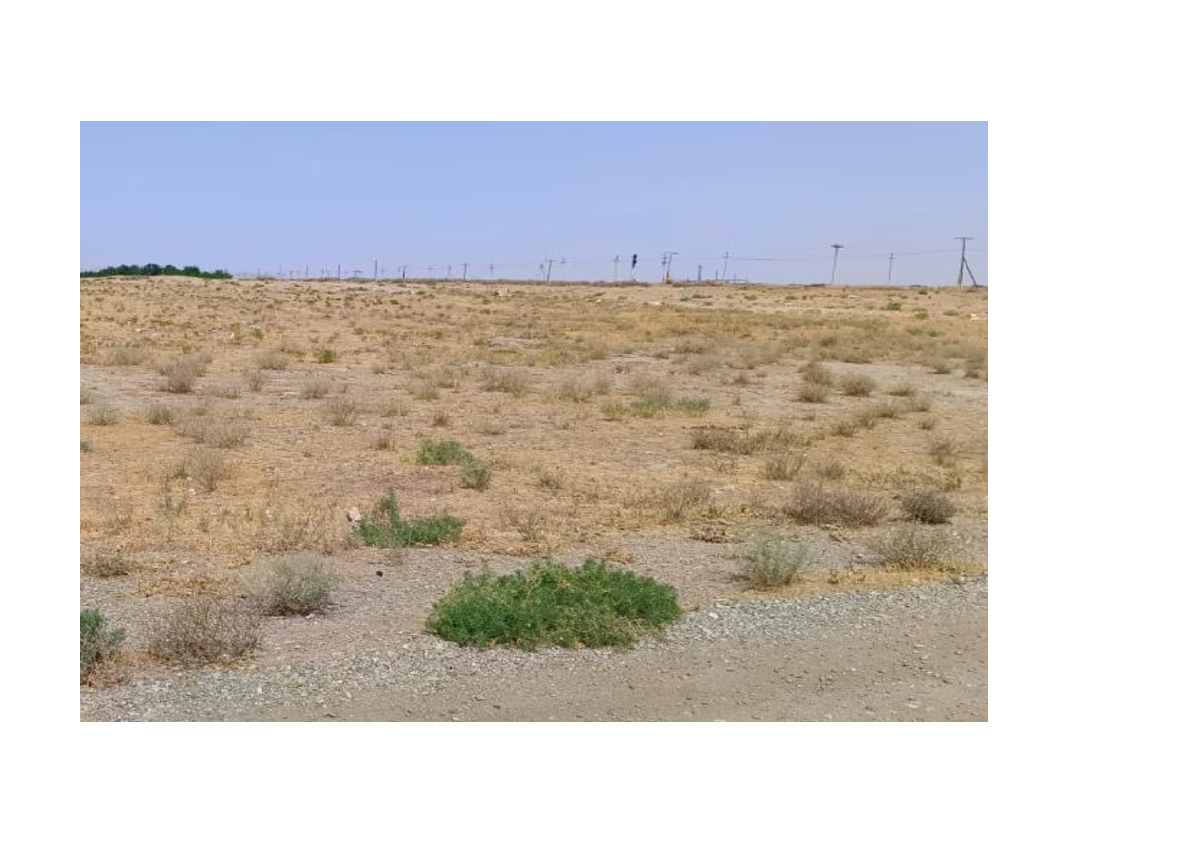 img-2