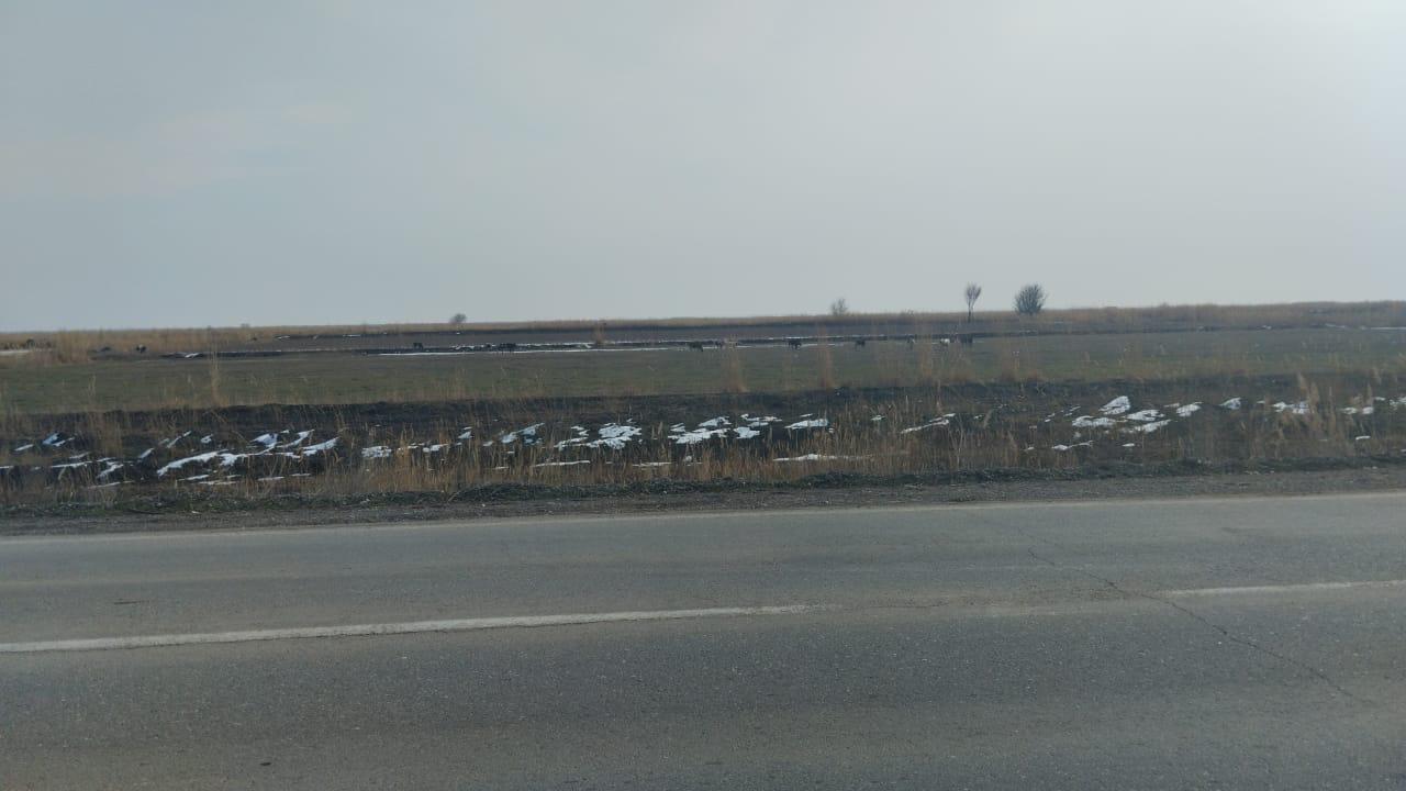 img-3