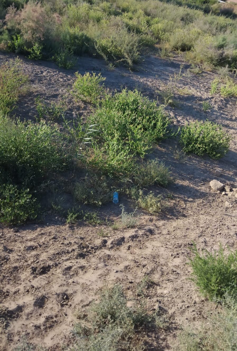 img-2