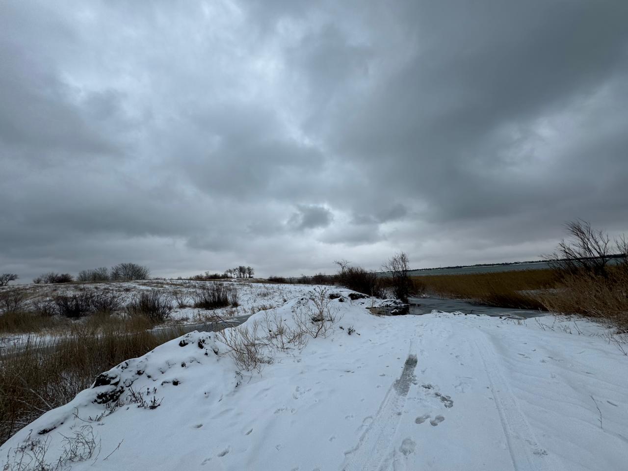 img-0