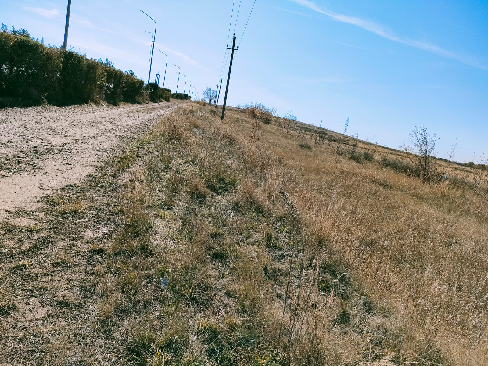 img-5