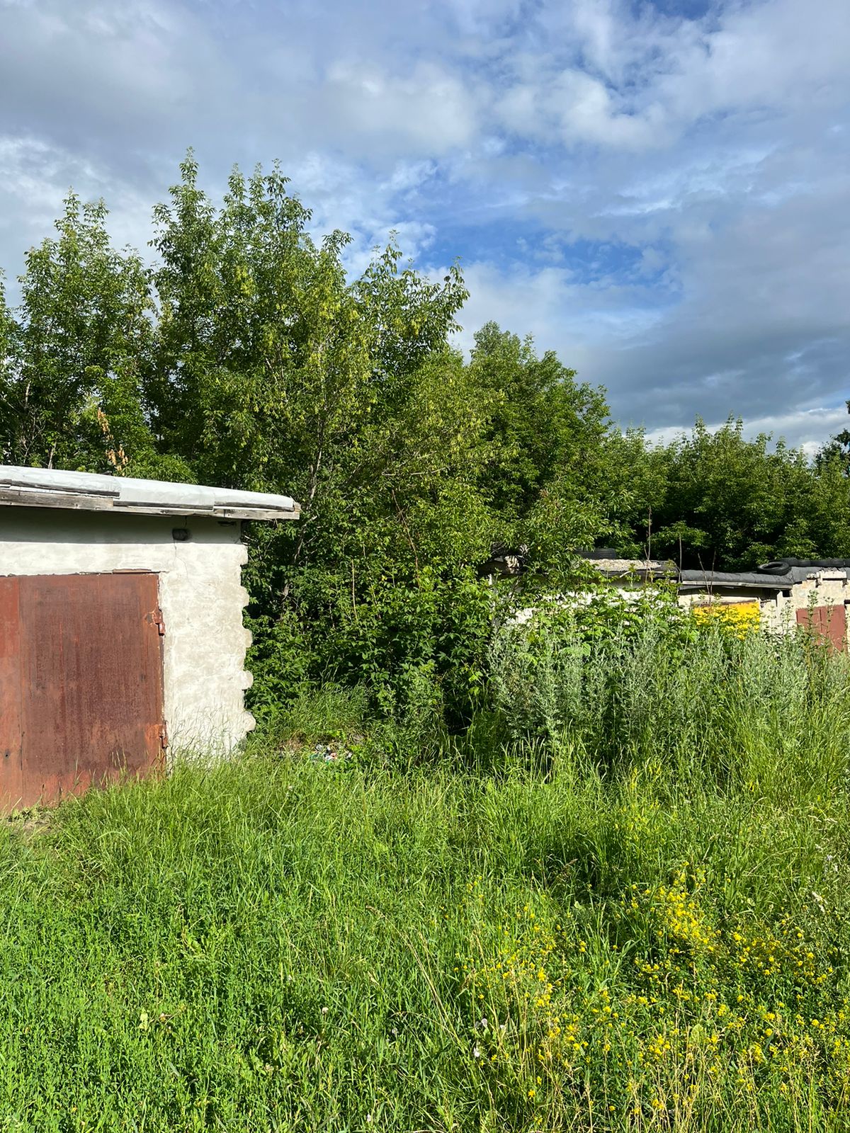 img-3
