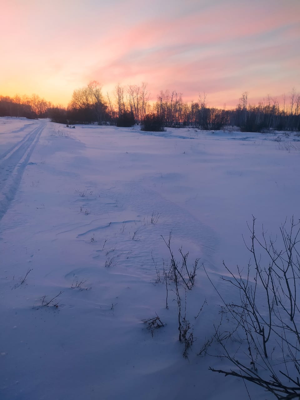 img-1