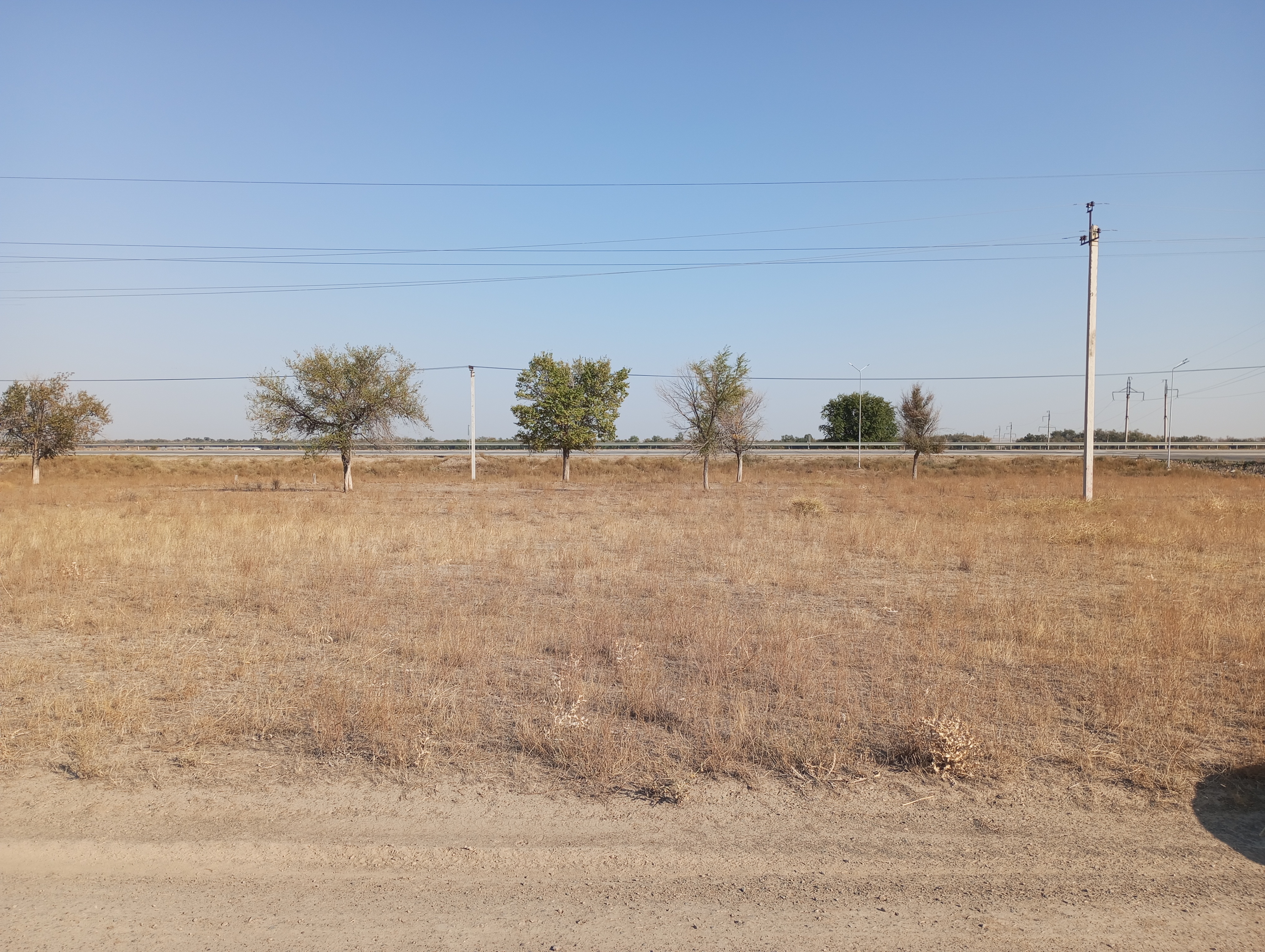 img-5