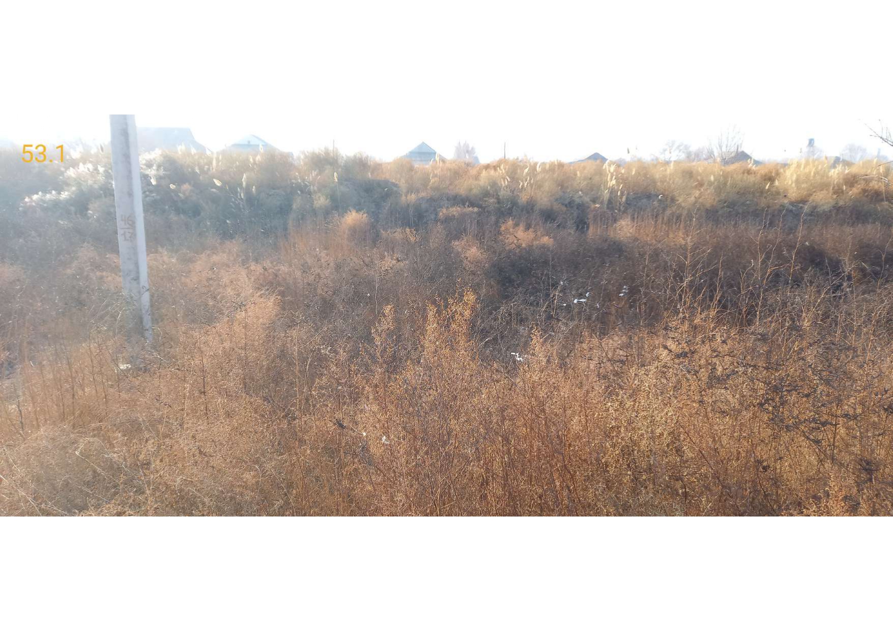 img-2