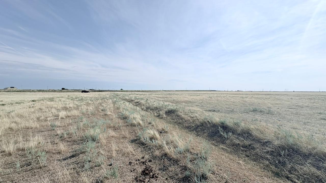 img-2