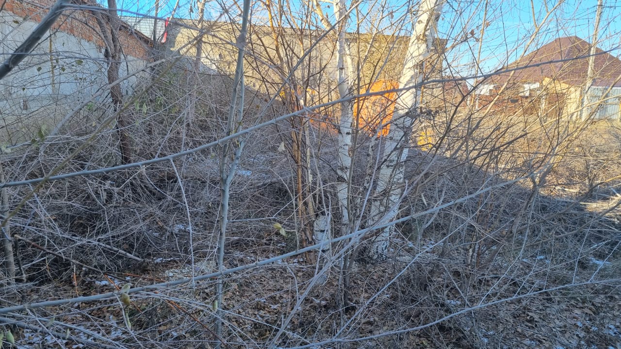 img-2