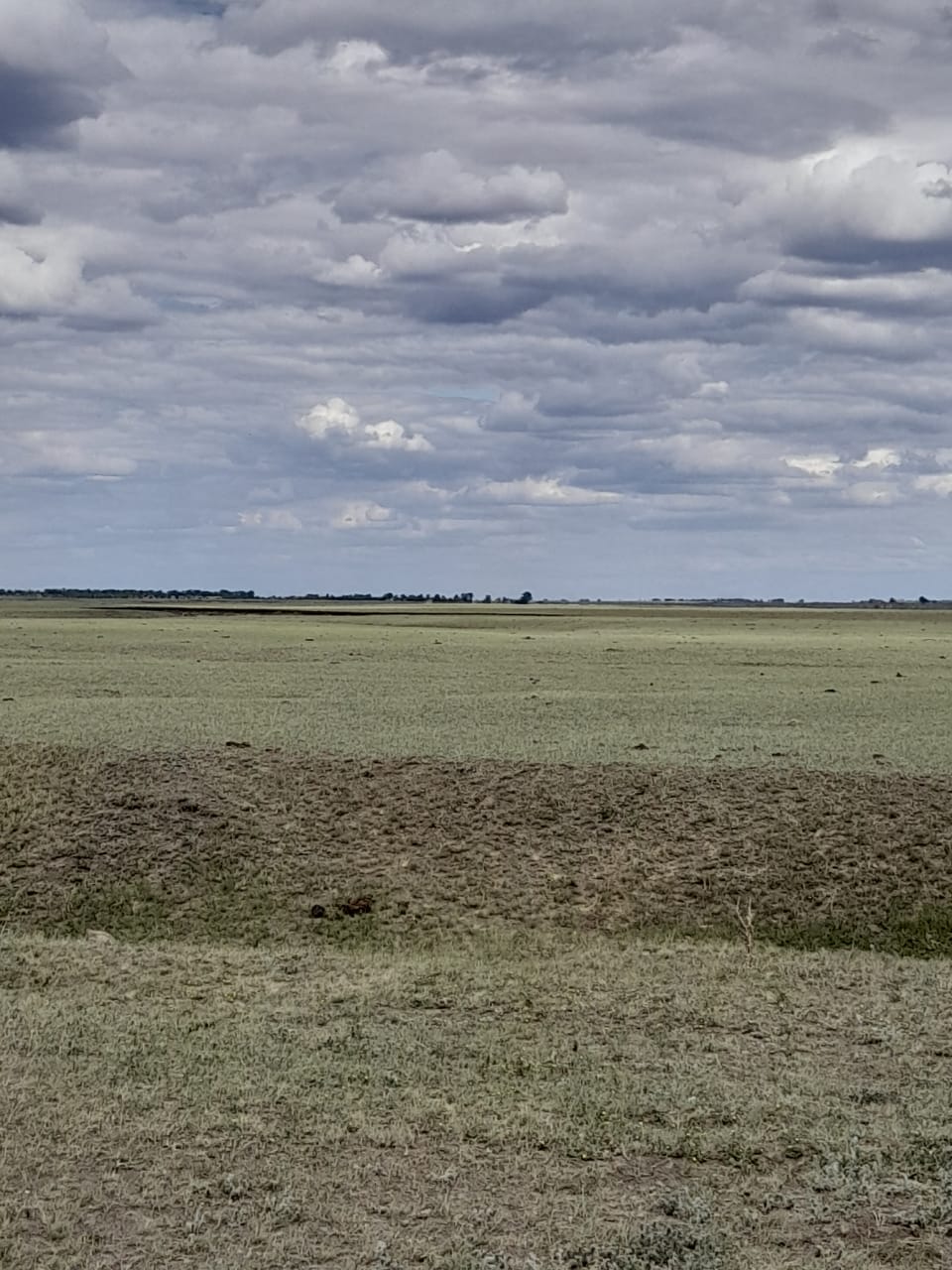 img-1