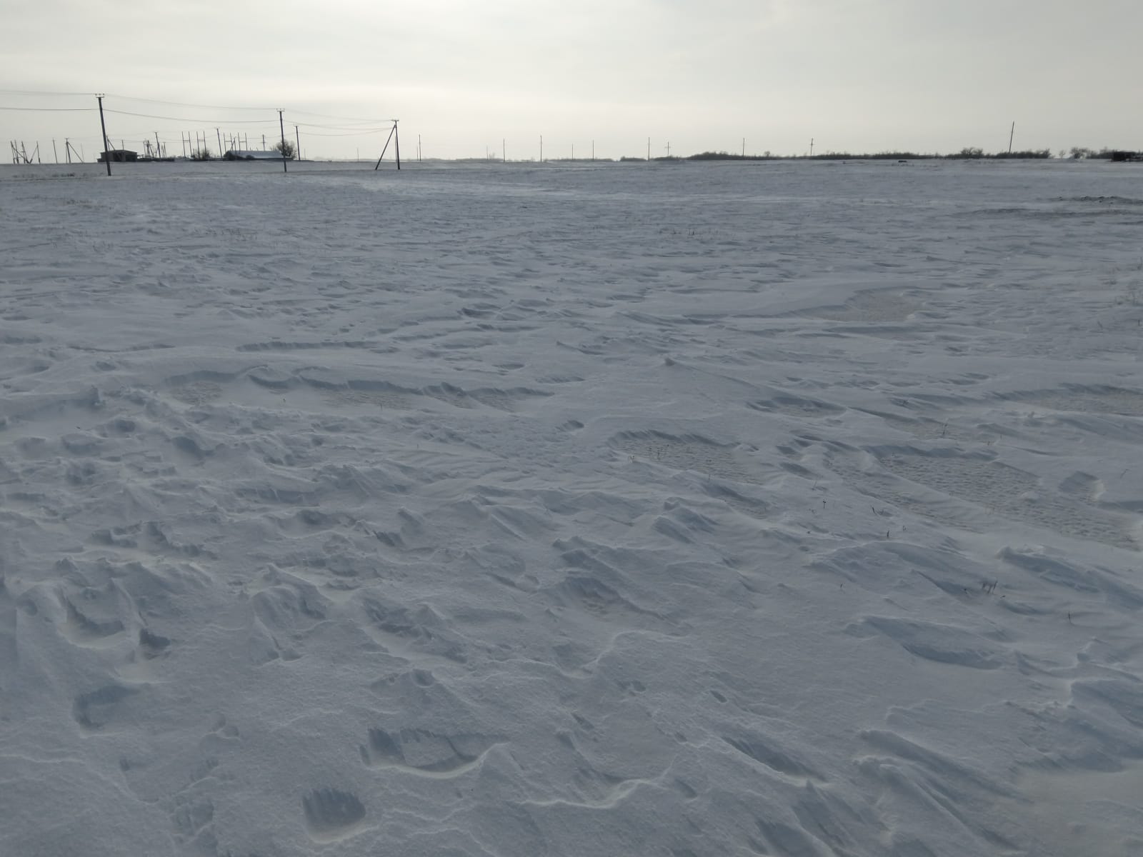 img-3