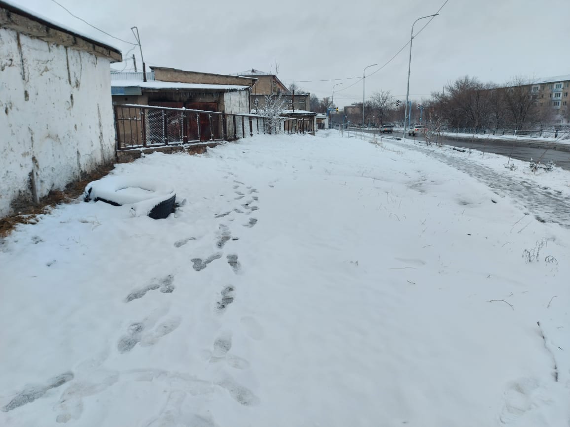 img-2