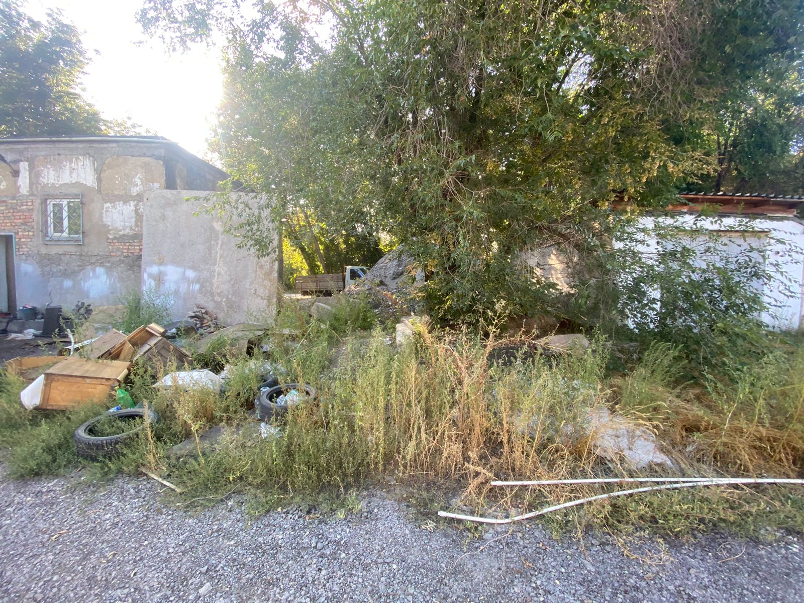 img-3