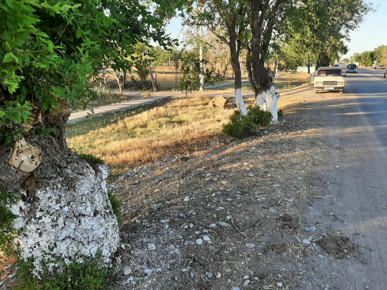 img-0