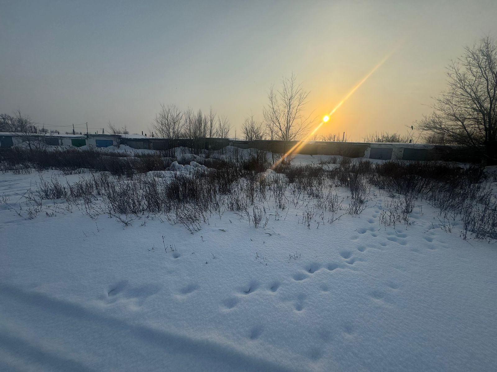 img-2